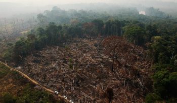 CC BY_2.0 by Amazonas_Real @flickr.com