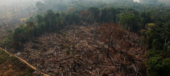 CC BY_2.0 by Amazonas_Real @flickr.com